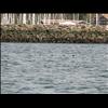 IMG_6497
3/21/2007 1:32:50 PM